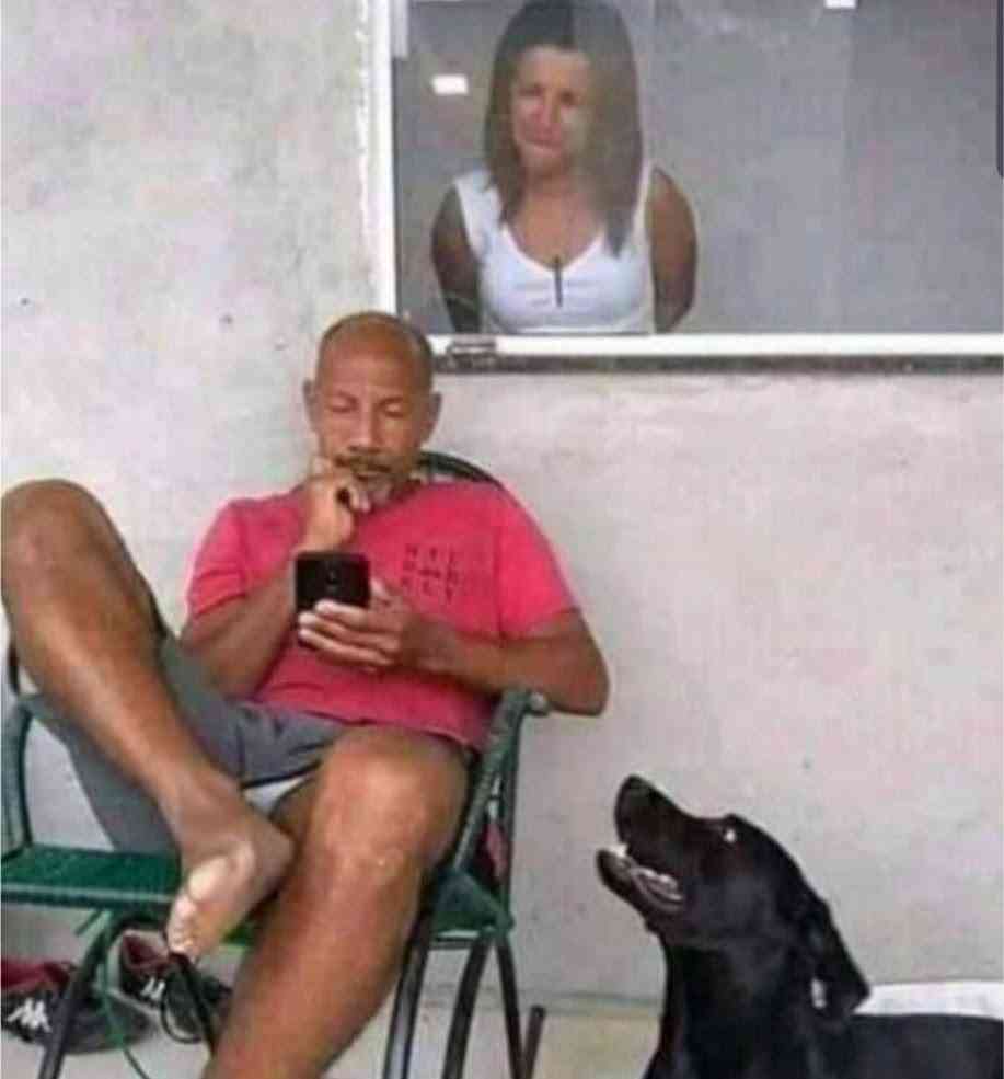 I for tell am, but the last time I bark he tell me shut up | MirrorLog